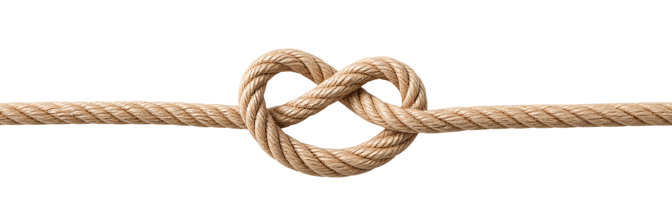 knut png transparent