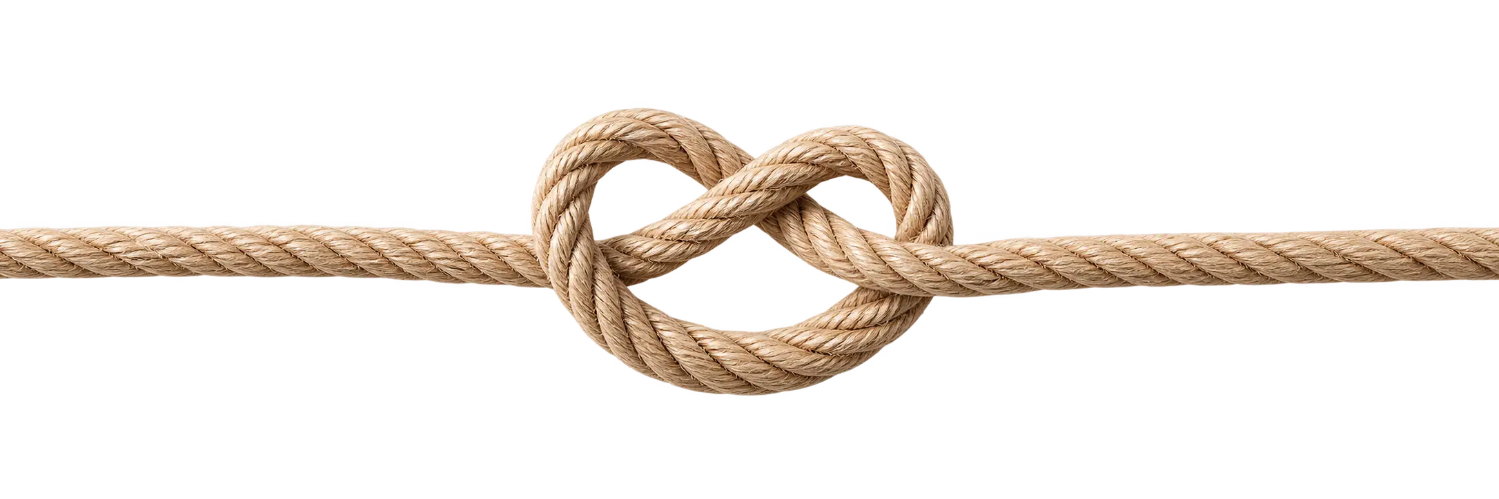 knut png transparent