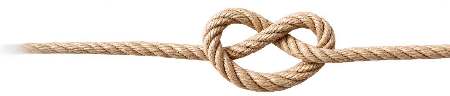 knut png transparent